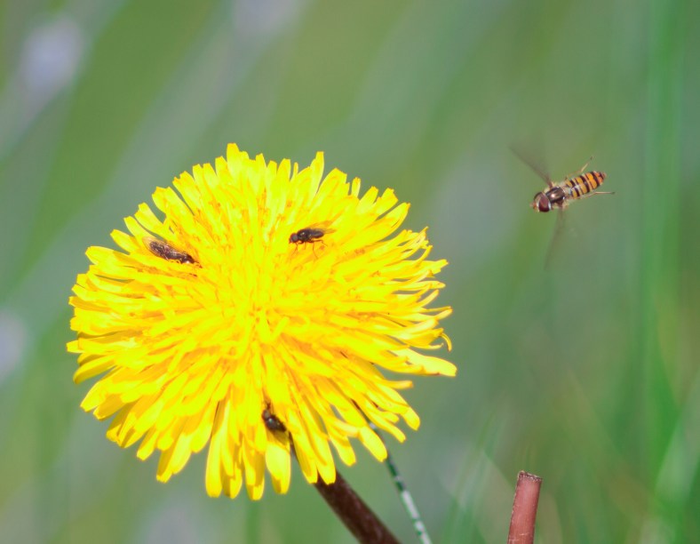 20150606-20150606-_MG_2605