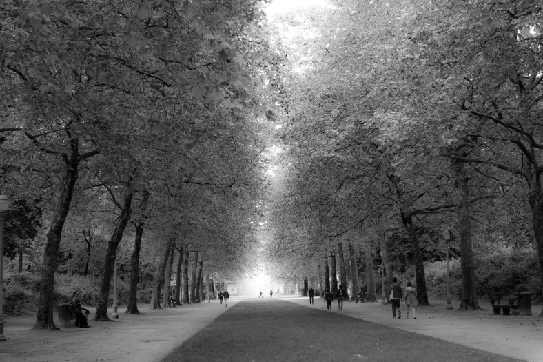 20160531-_MG_6467Ingeborg Dirdal