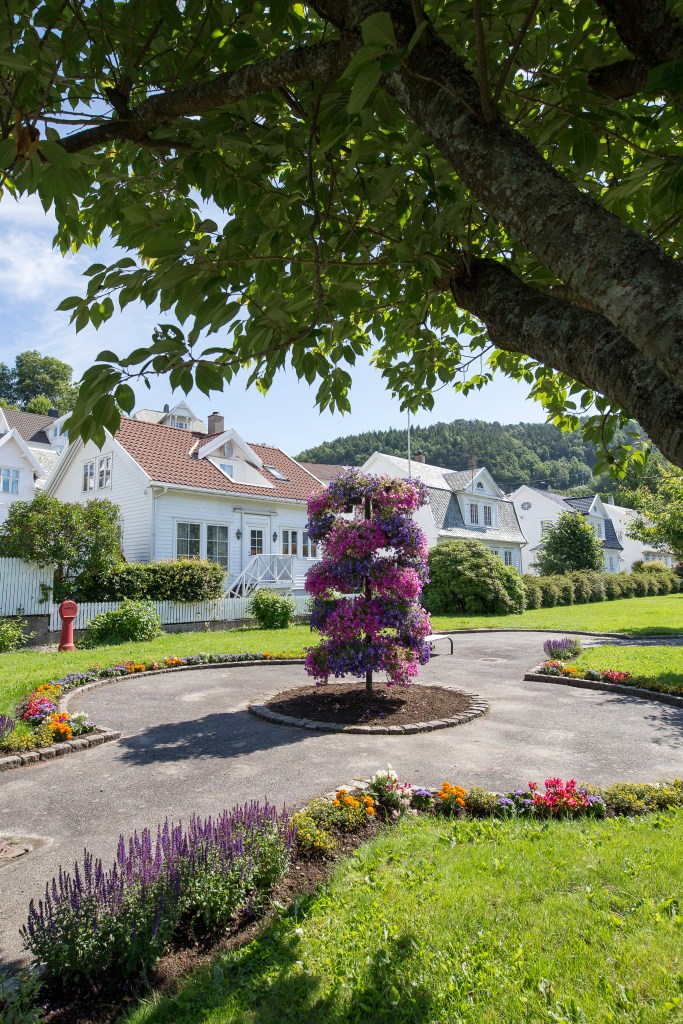 20160625-_MG_0004Ingeborg Dirdal