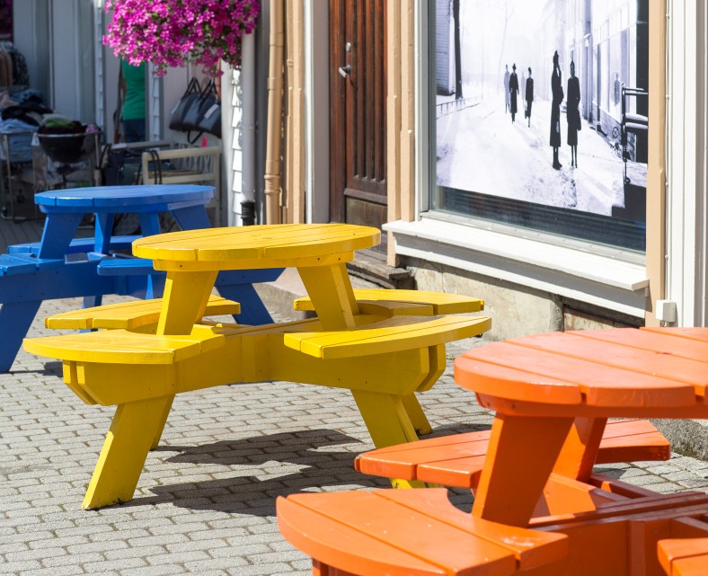 20160625-_MG_0016Ingeborg Dirdal