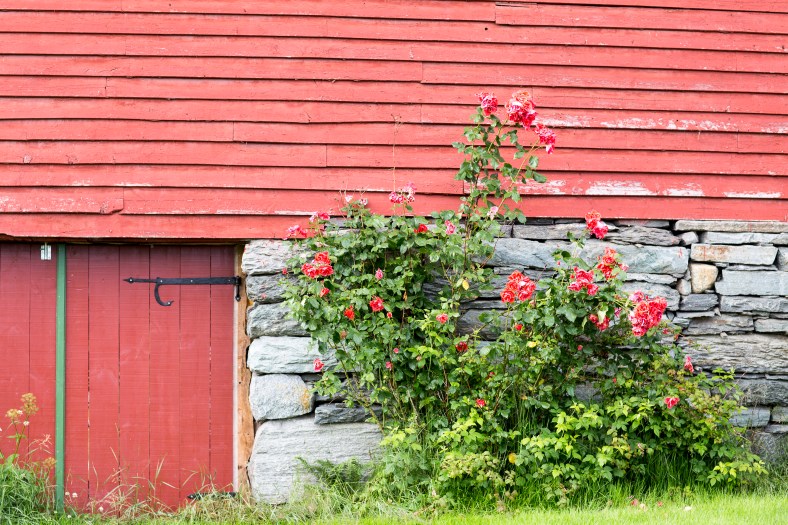 20160704-_MG_0065Ingeborg Dirdal