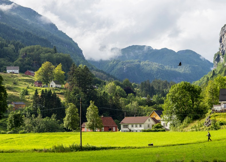 20160704-_MG_0069Ingeborg Dirdal