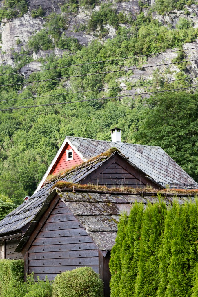 20160704-_MG_0074Ingeborg Dirdal