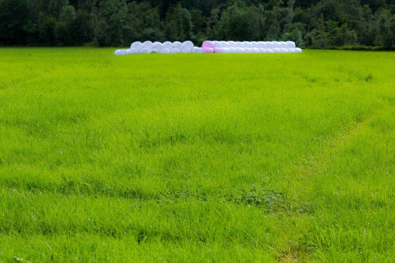 20160704-_MG_0077Ingeborg Dirdal