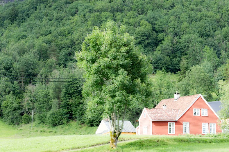 20160704-_MG_0079Ingeborg Dirdal