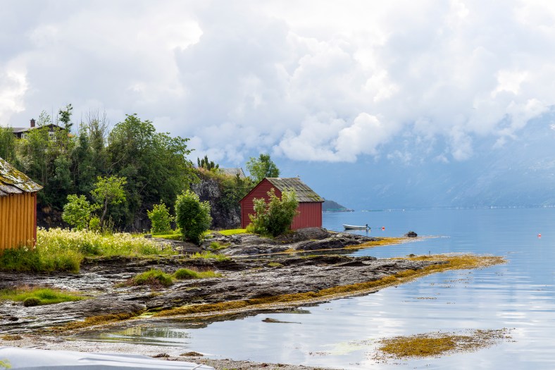 20160705-_MG_0093Ingeborg Dirdal