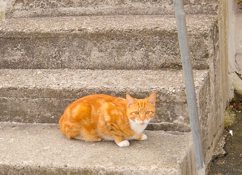 20160709-_MG_0121Ingeborg Dirdal
