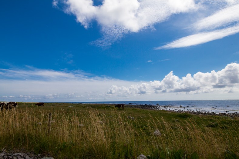 20160709-_MG_0132Ingeborg Dirdal