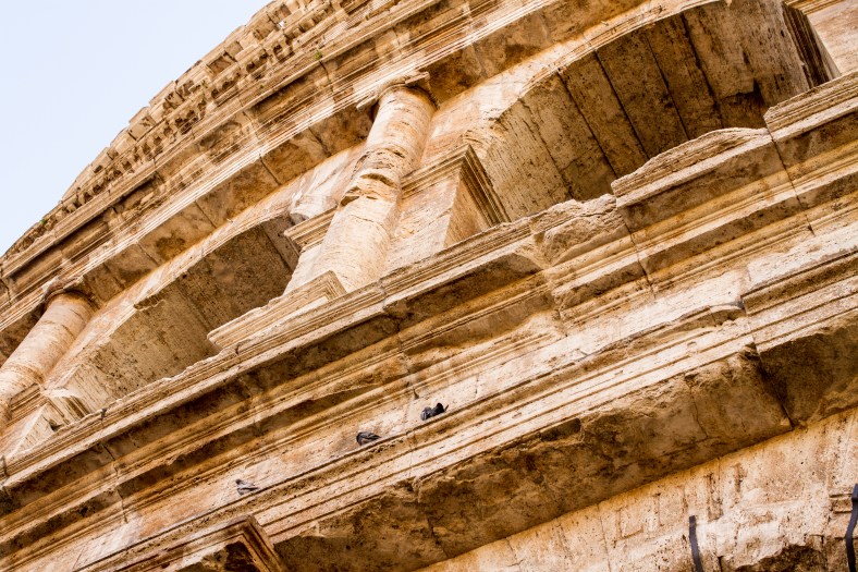 2016-11-11-12-04-11roma16